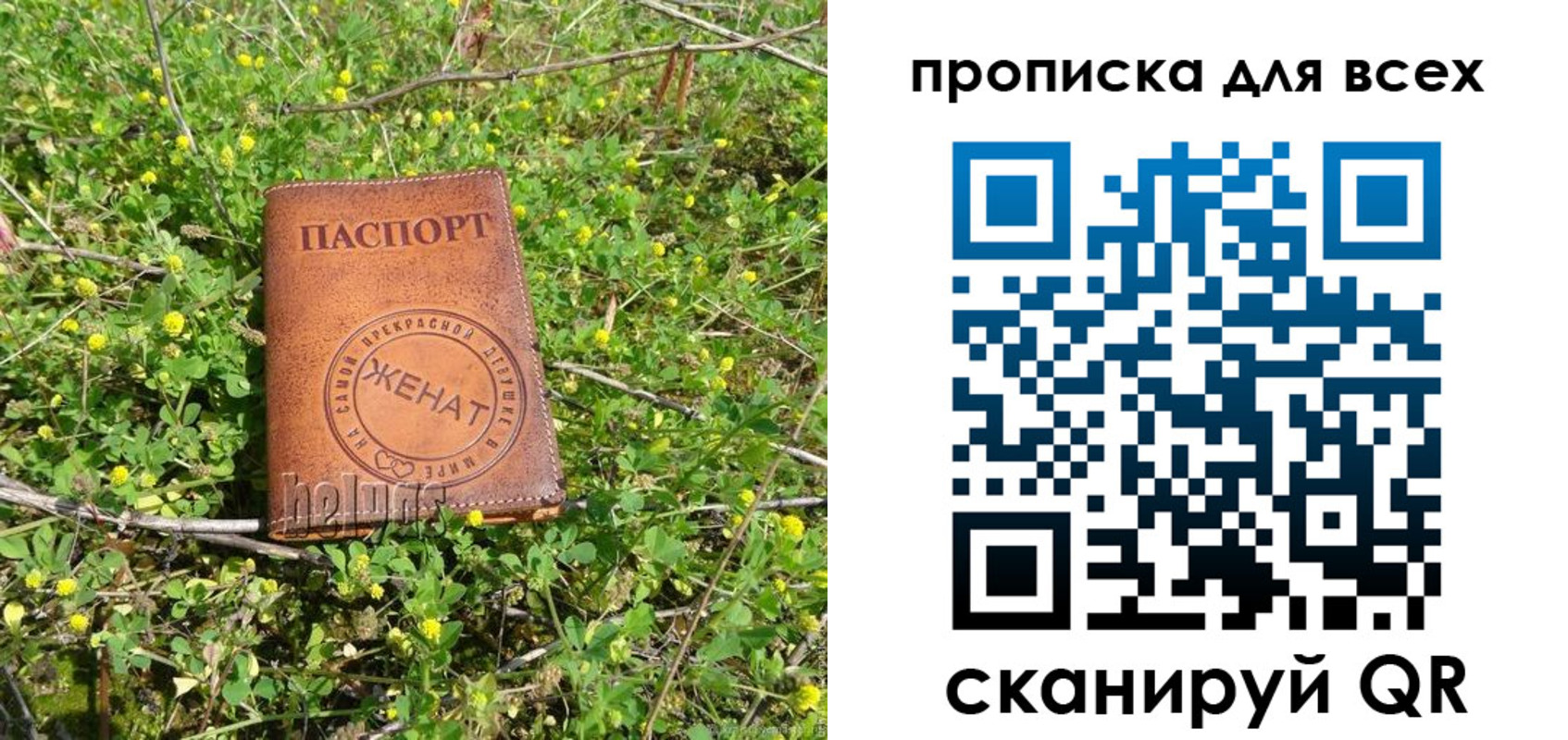 прописка поиск в Липецкая области